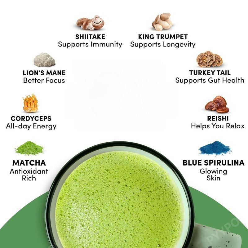 Organic Mushroom Matcha Supple - Lion Mane Mushroom review and price