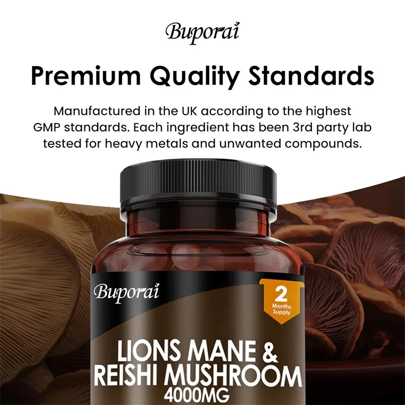 Lions Mane & Reishi Mushroom 4 - Lion Mane Mushroom review and price