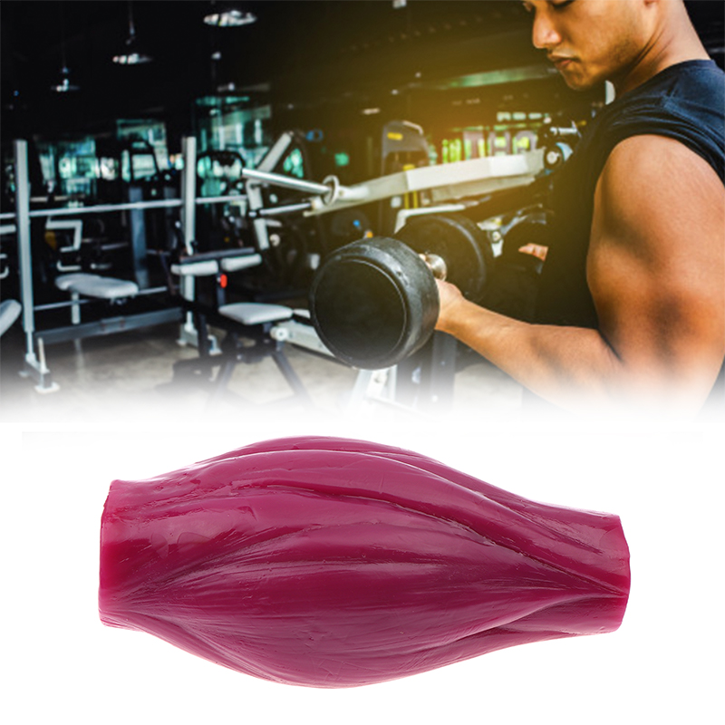 1lb Muscle to Keep Fit & Weigh - Nutrition Fitness Center review and price