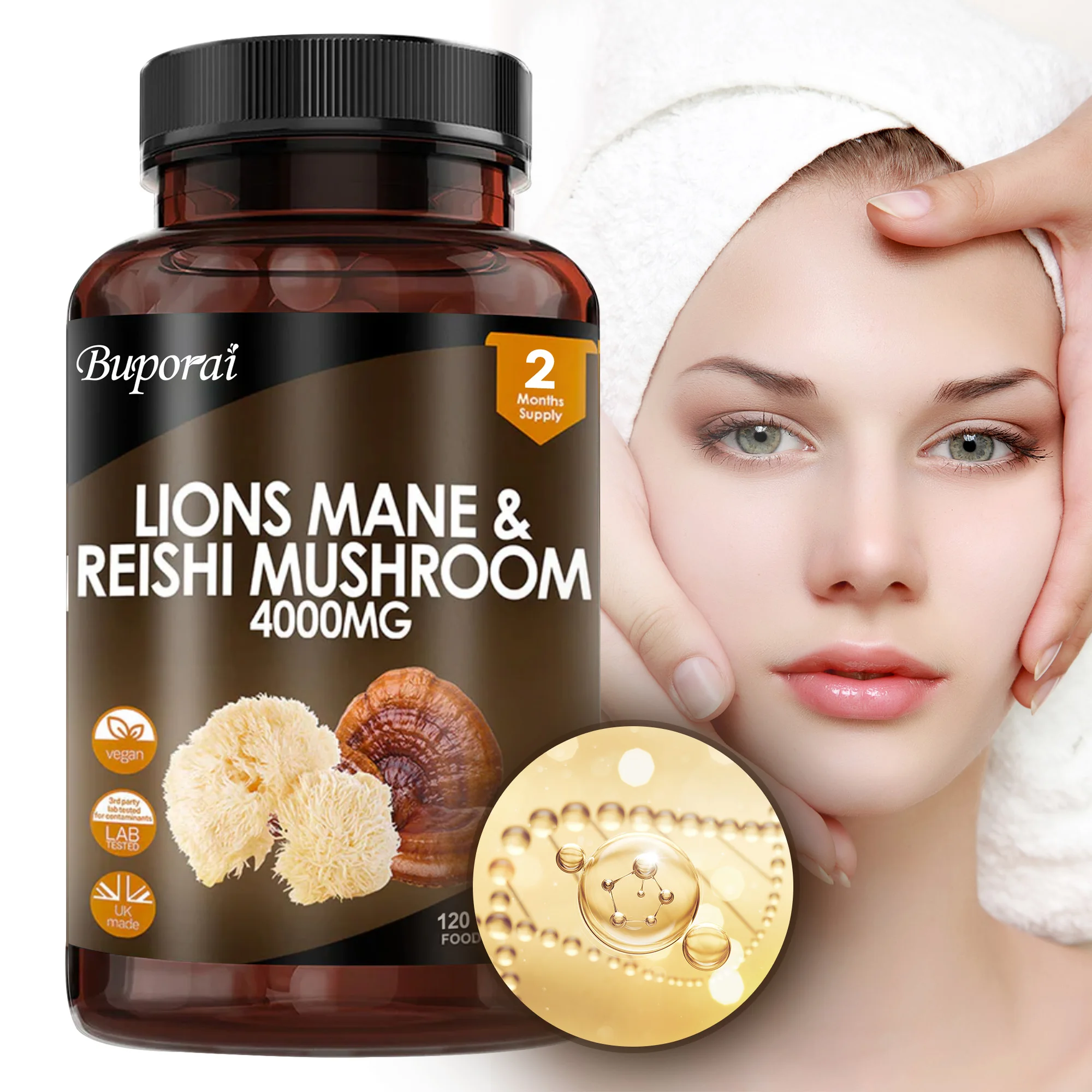 Lions Mane & Reishi Mushroom 4 - Lion Mane Mushroom review and price