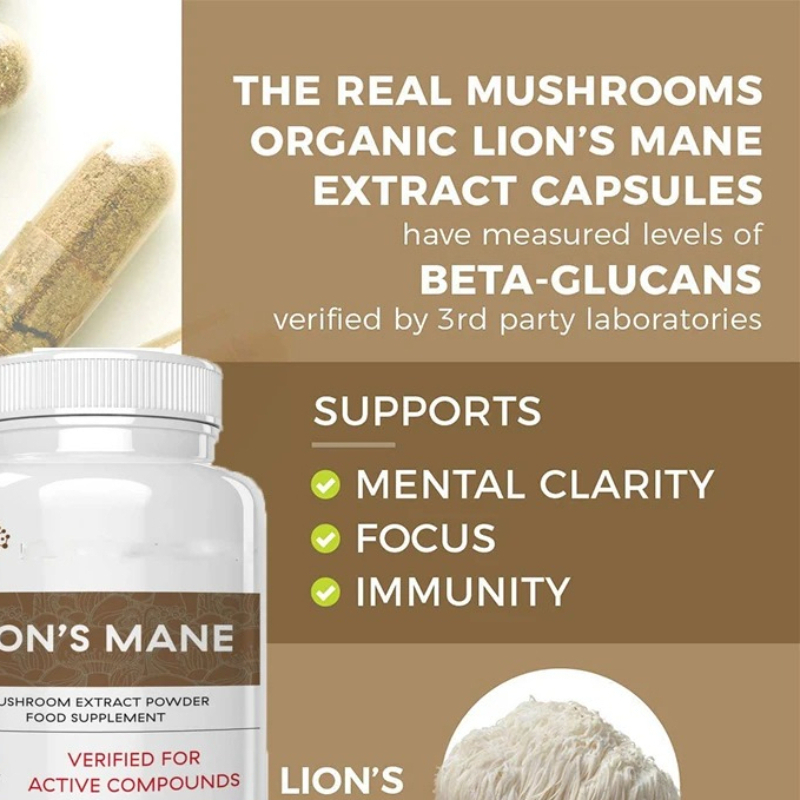 Lion Mane Ganoderma Mushroom C - Lion Mane Mushroom review and price